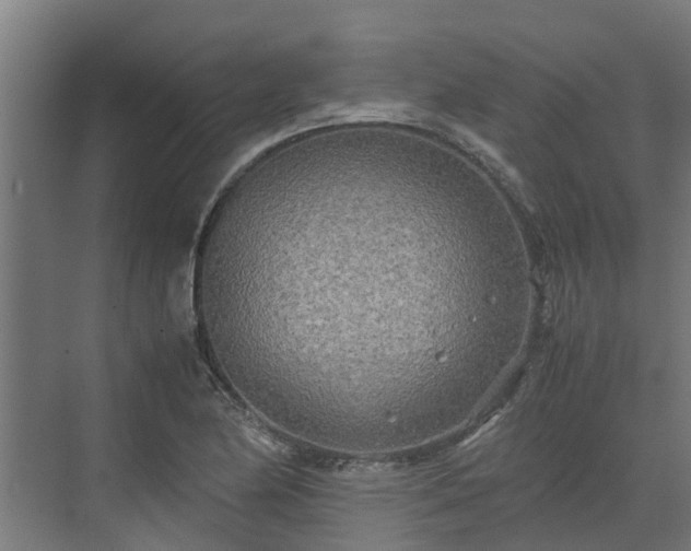 X0000072521174200607211415