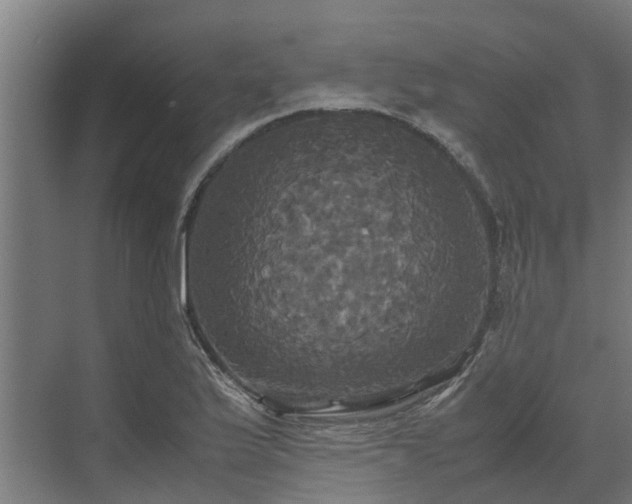 X0000072521175200607211415