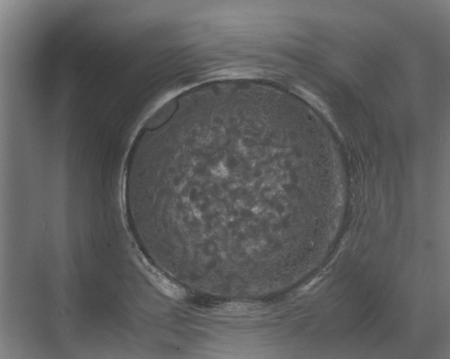 X0000072521179200607211415