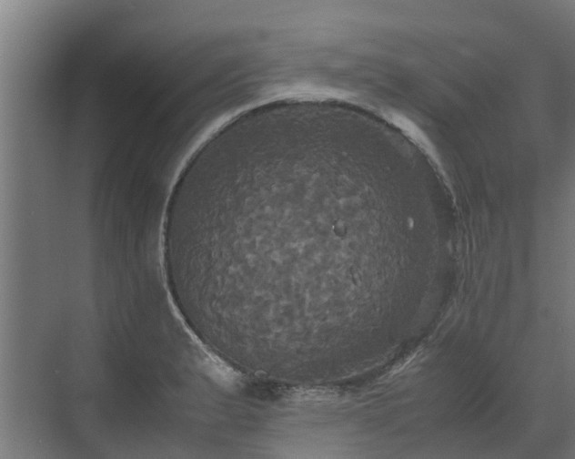 X0000072521183200607211415