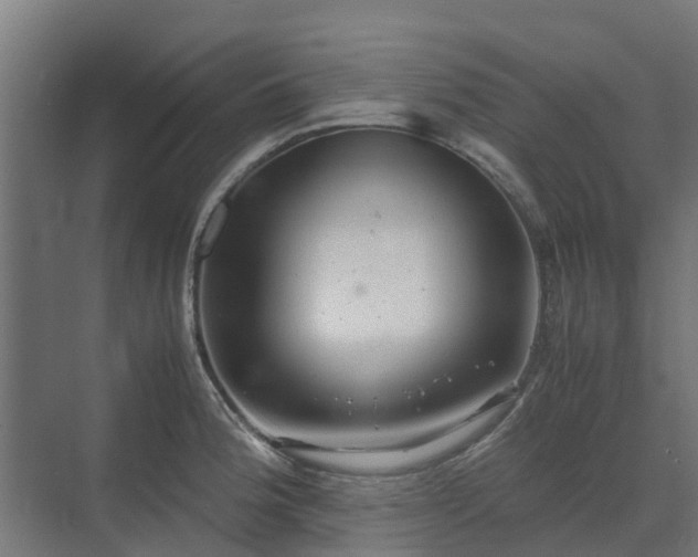 X0000072521188200607211415