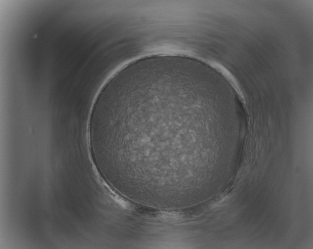 X0000072521191200607211415