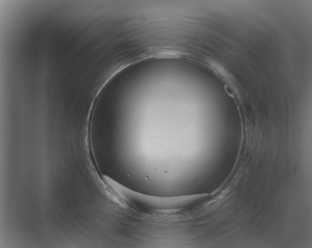 X0000072521194200607211415