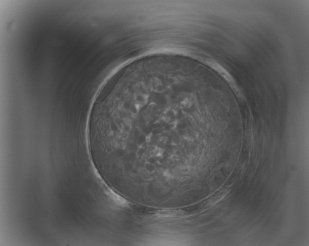 X0000072521199200607211415