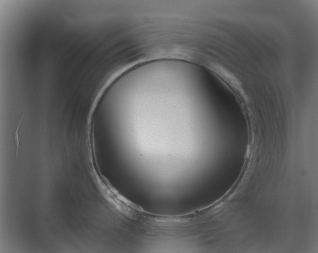 X0000072521200200607211415