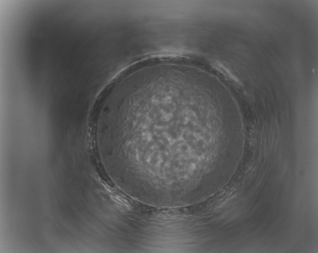 X0000072521208200607211414