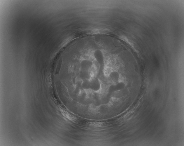 X0000072521211200607211414