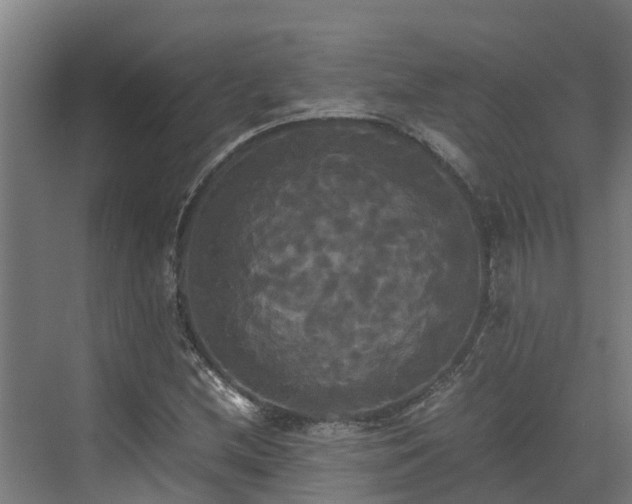 X0000072521212200607211414