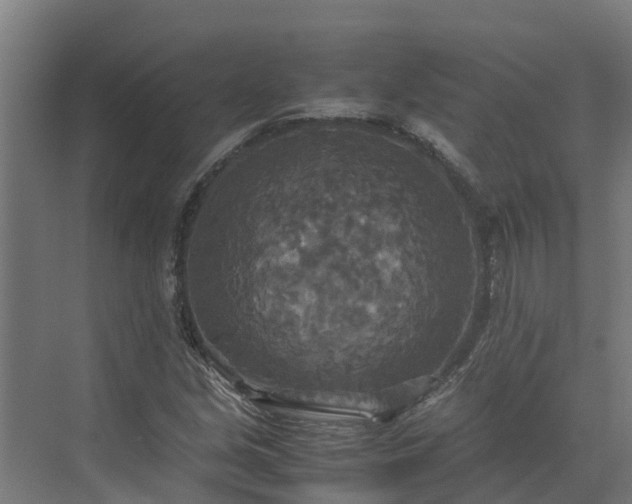 X0000072521213200607211414