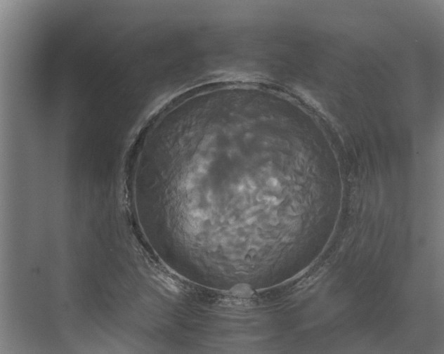 X0000072521215200607211414