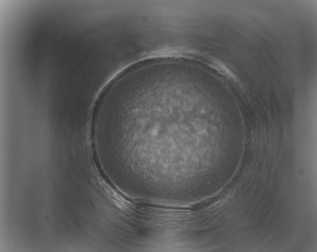 X0000072521216200607211414