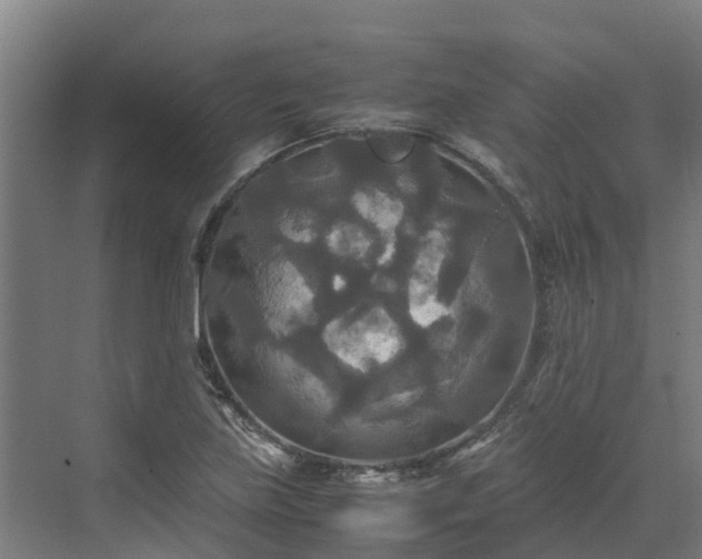 X0000072521219200607211415