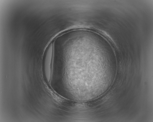 X0000072521220200607211415