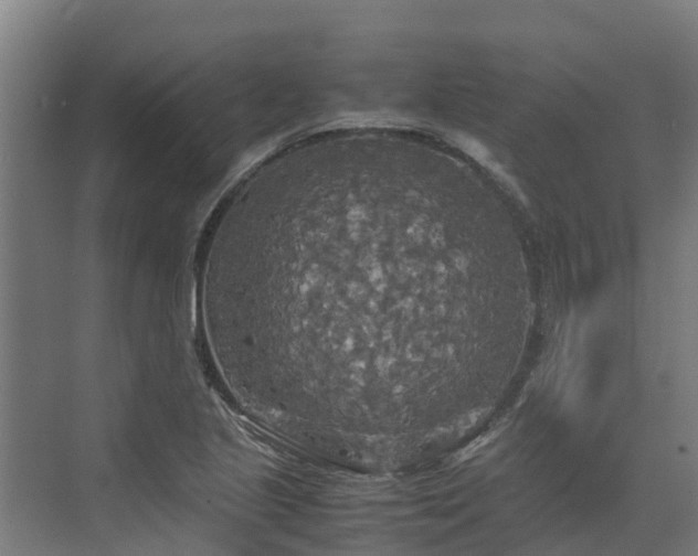 X0000072521221200607211415