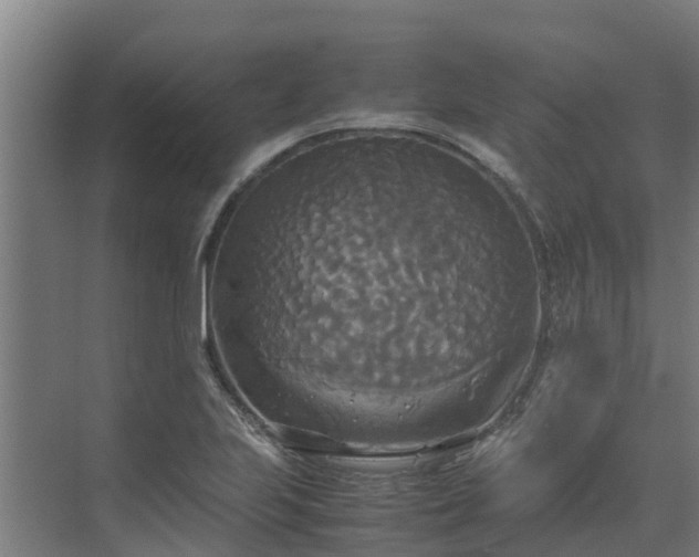 X0000072521223200607211415