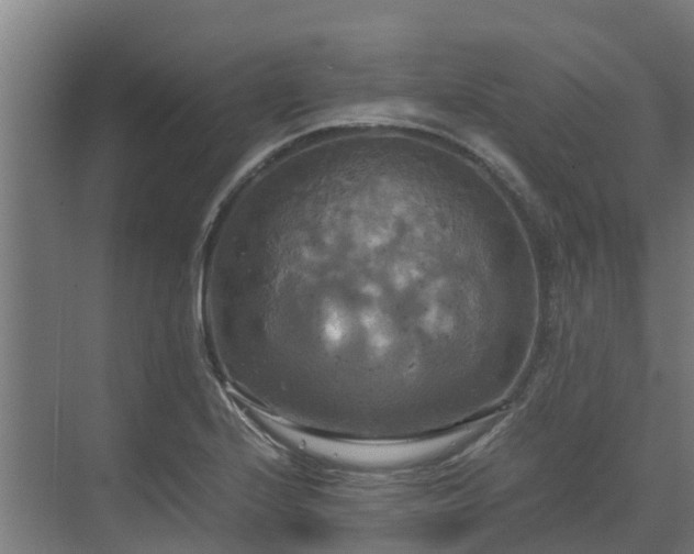 X0000072521224200607211415