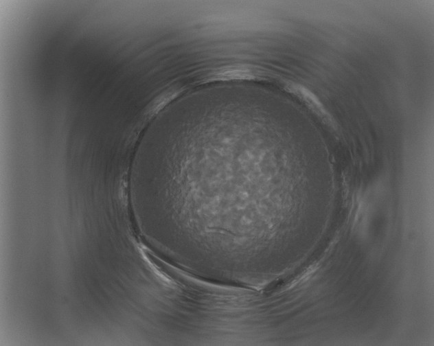 X0000072521225200607211415