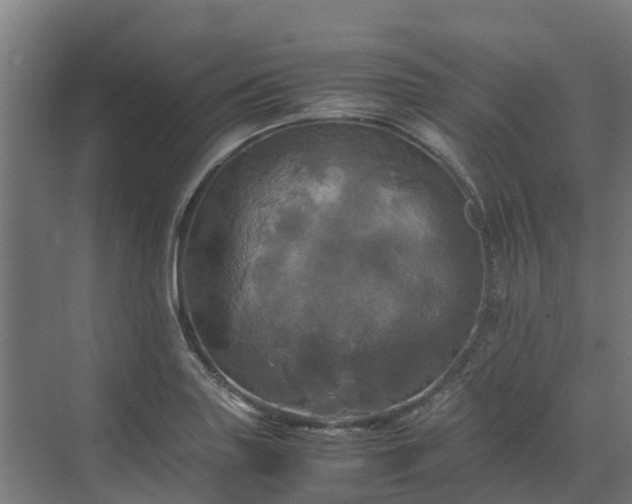 X0000072521227200607211415