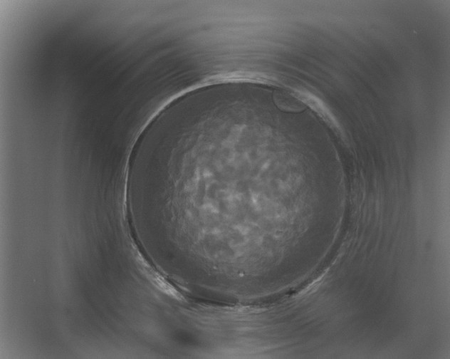 X0000072521228200607211415