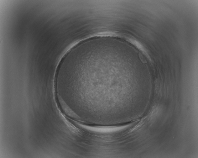 X0000072521229200607211415