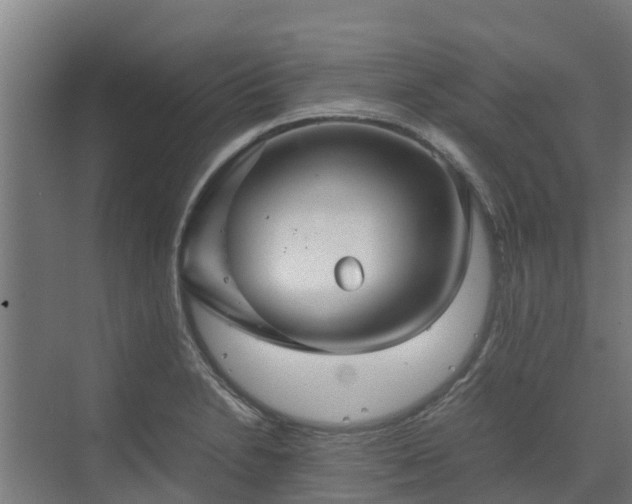 X0000072521230200607211415