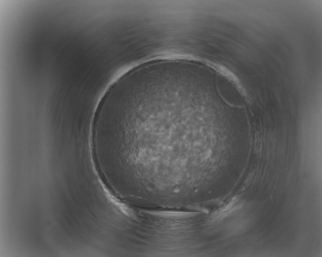 X0000072521231200607211415