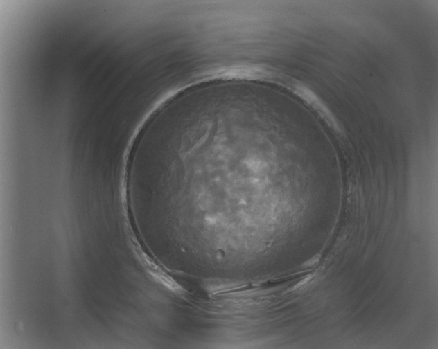 X0000072521232200607211415