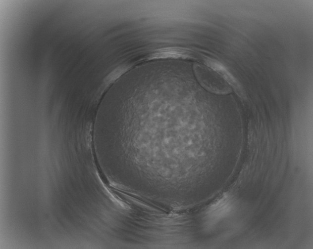 X0000072521233200607211415