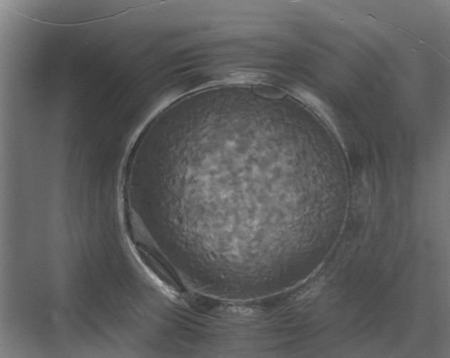 X0000072521235200607211415