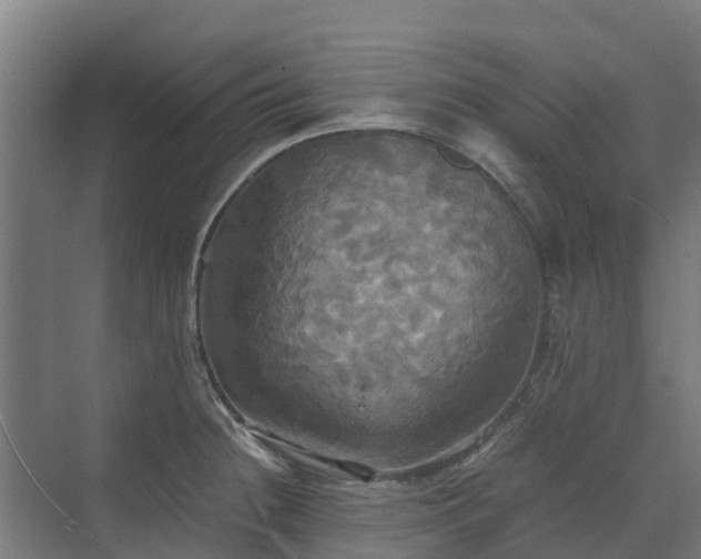 X0000072521236200607211415