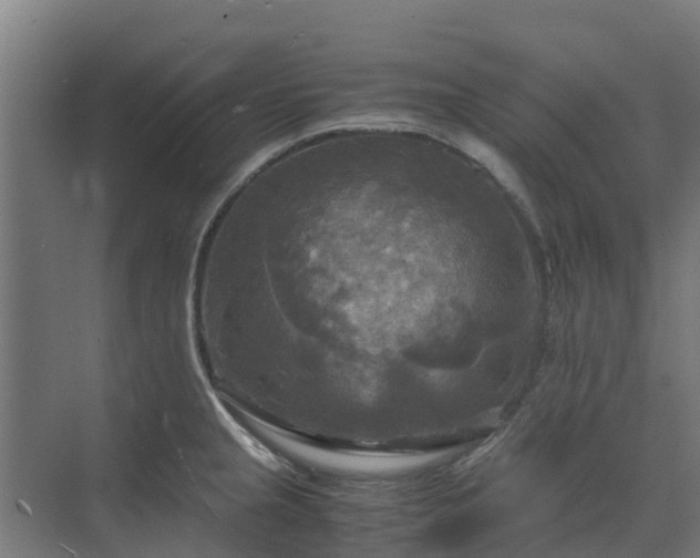 X0000072521237200607211415