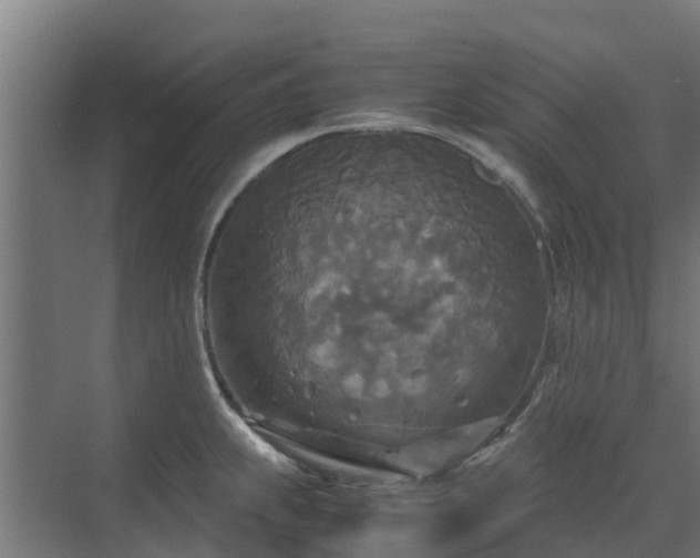 X0000072521239200607211415