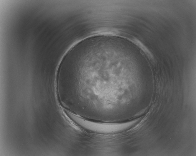 X0000072521240200607211415