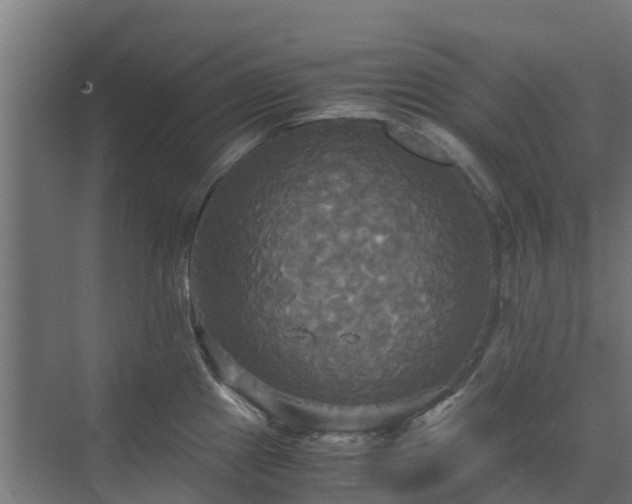 X0000072521241200607211415