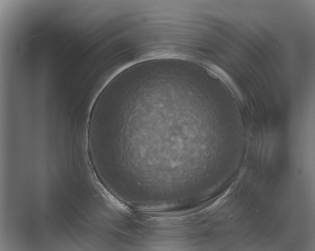 X0000072521244200607211415