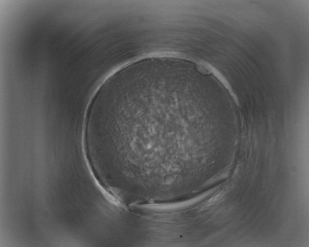 X0000072521245200607211415