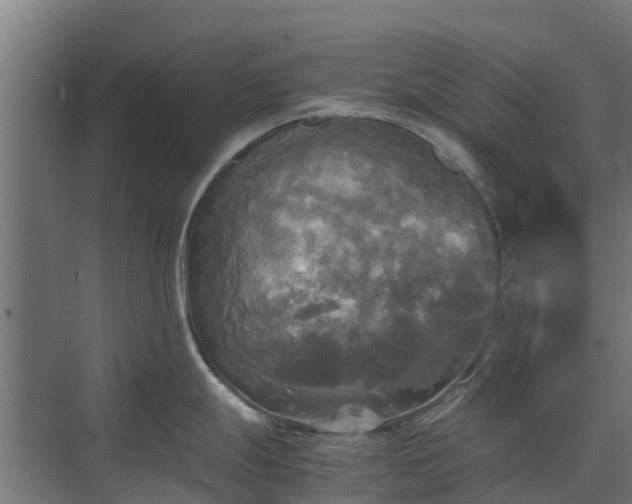 X0000072521247200607211415