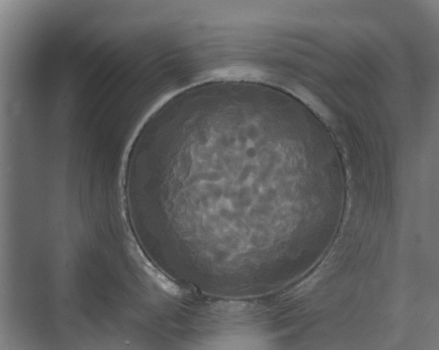 X0000072521248200607211415