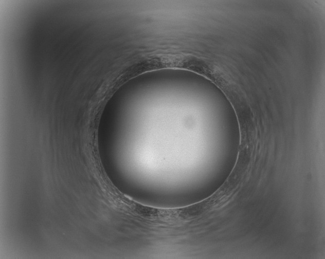 X0000072521249200607211414