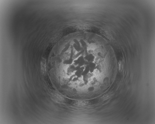 X0000072521251200607211414