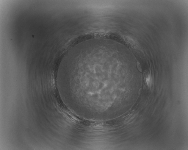 X0000072521252200607211414