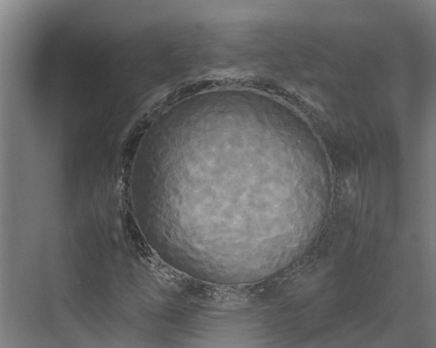 X0000072521254200607211414