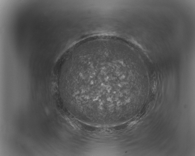 X0000072521255200607211414