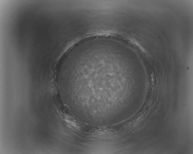 X0000072521256200607211414