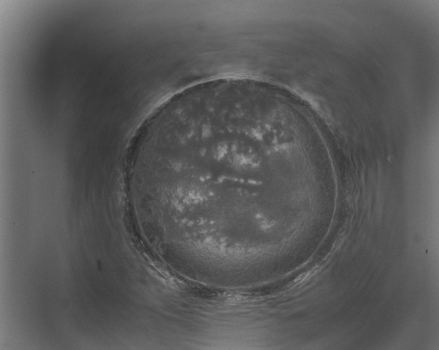 X0000072521263200607211414