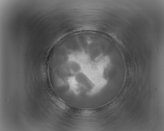 X0000072521266200607211414