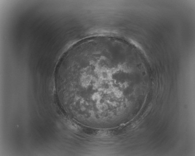 X0000072521267200607211414