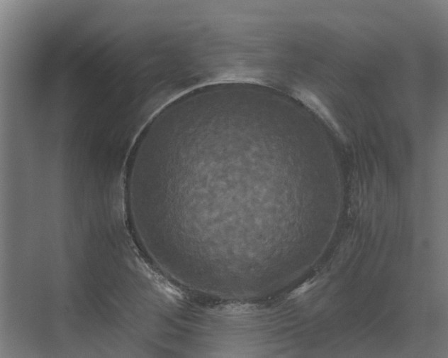 X0000072521268200607211414