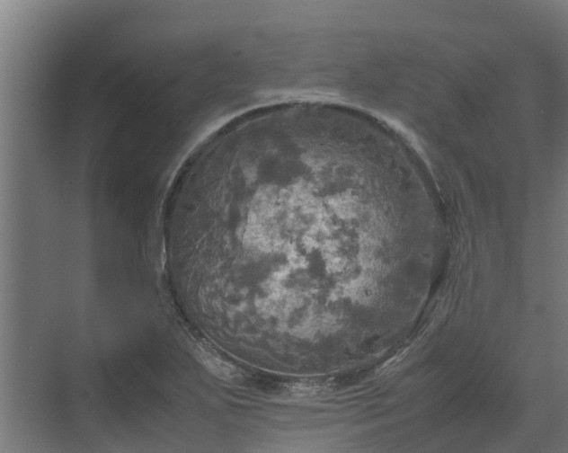 X0000072521271200607211414