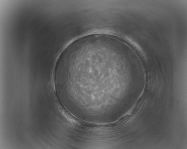 X0000072521272200607211414